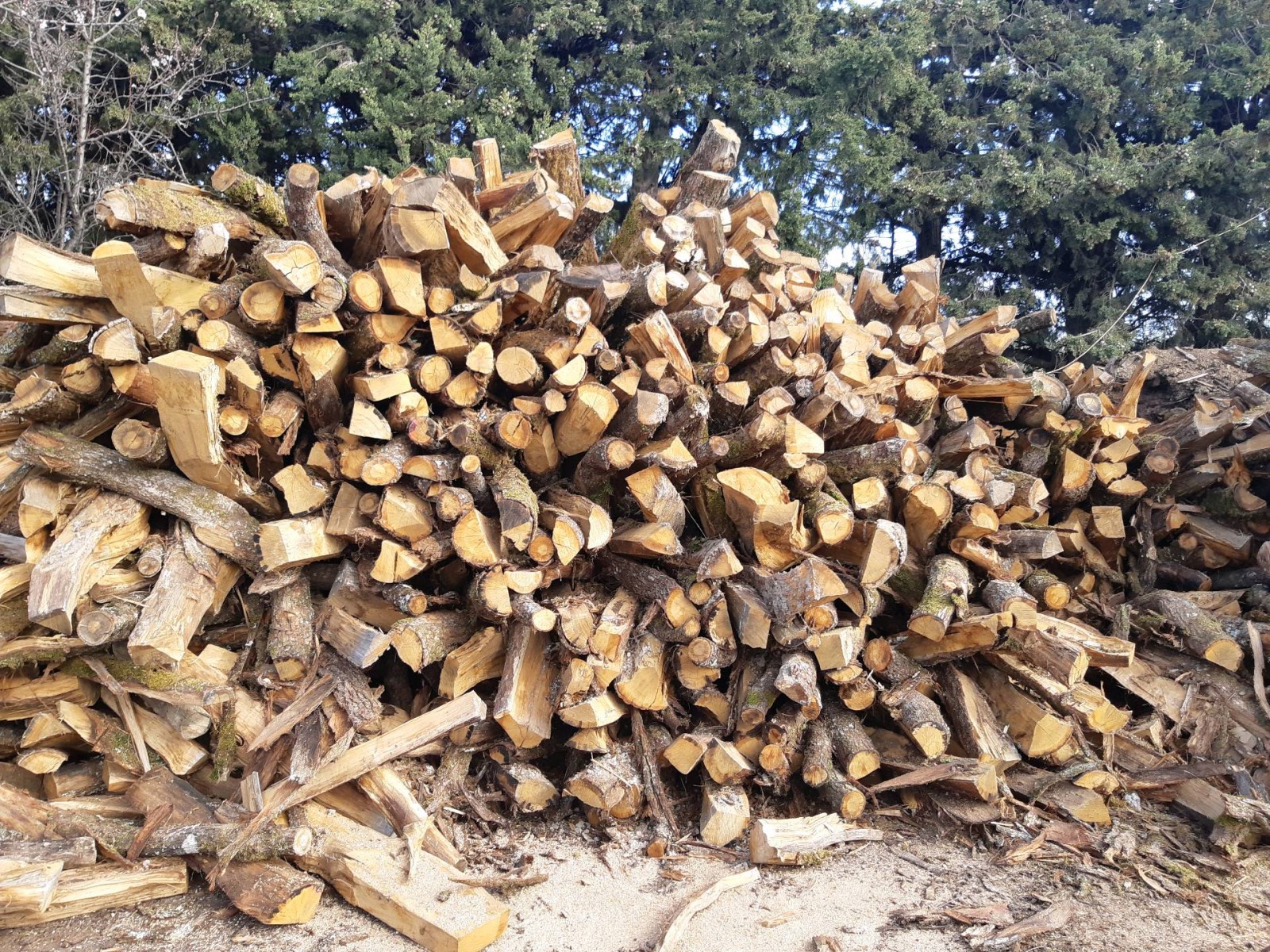 Prix pour une commande de bois de chauffage 50 cm à Berre-l'Étang